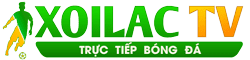 91phut.net
